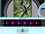 Bird Sounds Pack cover